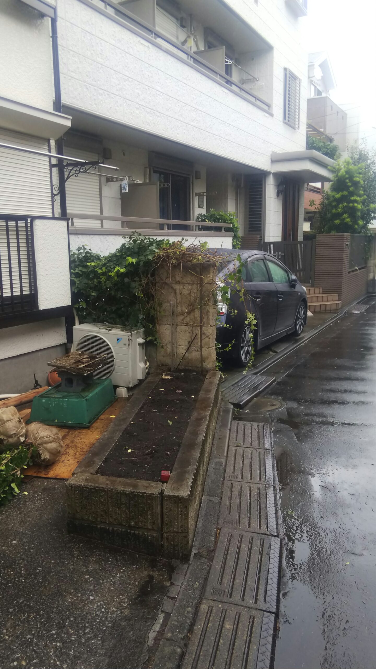 カイズカイブキ・マサキ植替え 伐採後