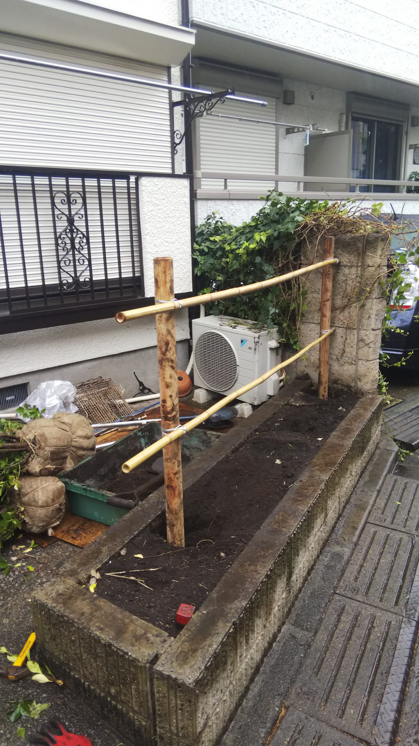 カイズカイブキ・マサキ植替え 支柱設置